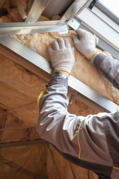 Best Commercial Insulation in Riverdale, IL
