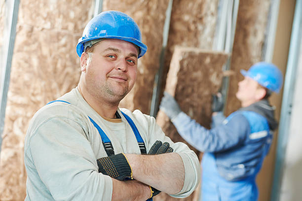 Best Insulation Maintenance and Repair in Riverdale, IL