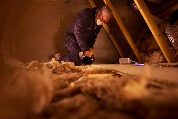 Best Residential Insulation in Riverdale, IL
